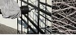 SEMINARIO “Calcestruzzo fibrorinforzato: progettazione, applicazioni su nuove costruzioni e su costruzioni esistenti” – Verona, 24 maggio 2024: riconosce n°3 CFP