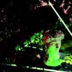 CONVEGNO “Luce per l’Arte, Arte della Luce” – Ponton di Sant’Ambrogio di Valpolicella (VR) – venerdì 09 maggio 2025: NO CFP