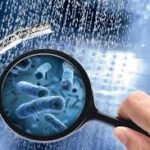 SEMINARIO  | Normativa UNI 8065 e Batterio Legionella negli impianti di produzione di acqua calda sanitaria  | Verona, giovedì 23 ottobre 2025: riconosce n° 3 CFP