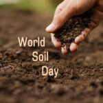 Giornata mondiale del suolo – Venezia, 5 dicembre 2025 – NO CFP