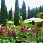 CONVEGNO | Rigenerazione urbana, urban health e biofilia | Verona, sabato 2 maggio 2026: NO CFP
