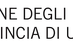 CORSO FAD:  ORGANIZZAZIONE AZIENDALE – Ordine degli Ingegneri della Provincia di Udine – 9 ottobre/14 ottobre 2026- previsti CFP